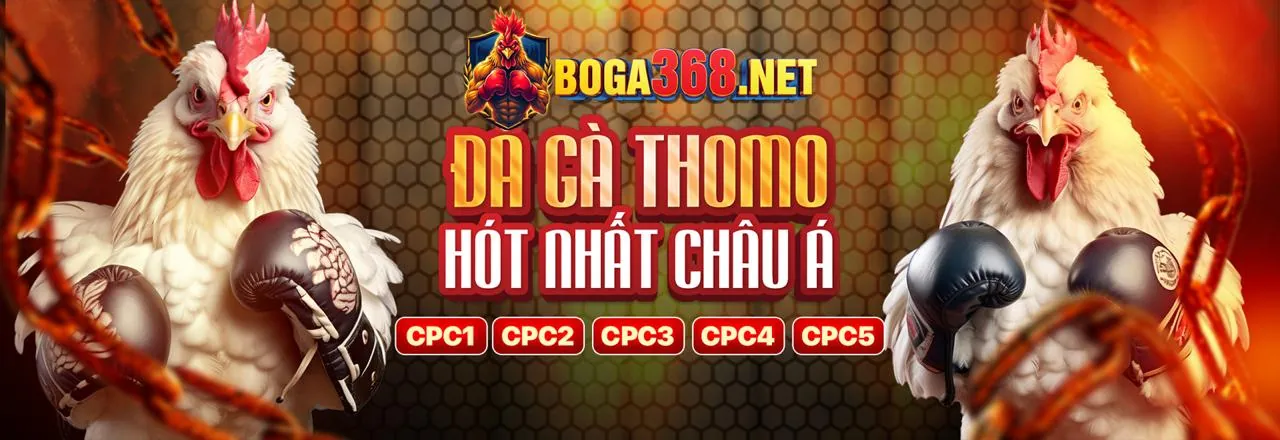 Tổng quan về F368 và các lợi ích