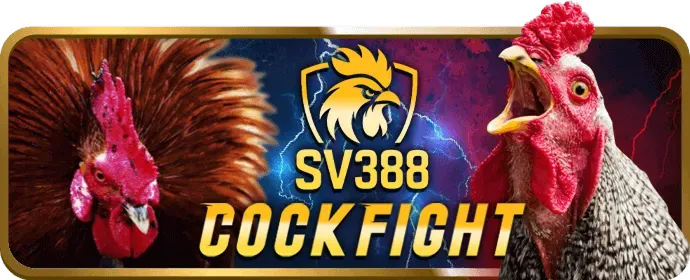 Hướng dẫn đăng ký F368